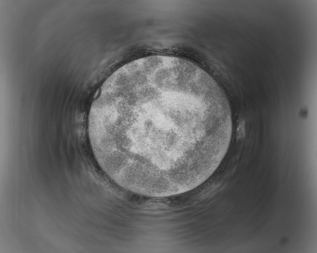 X0000116461156200912231355