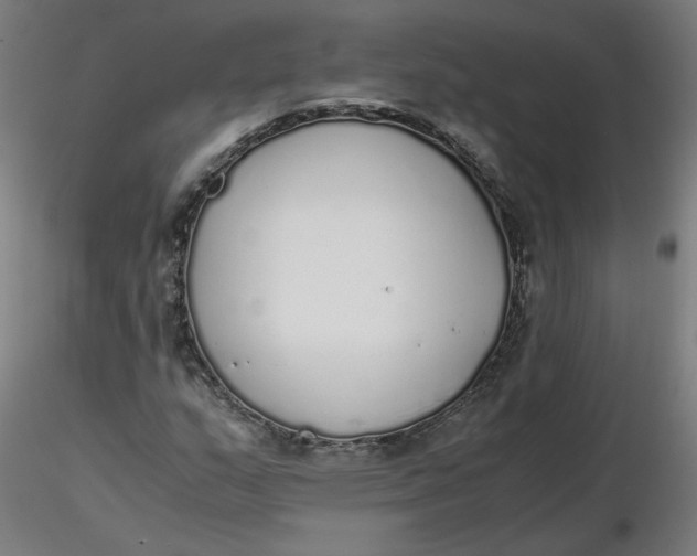 X0000116461159200912231355