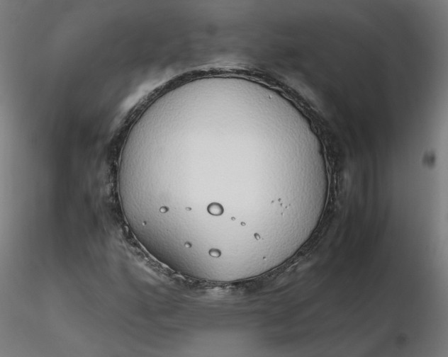 X0000116461160200912231355