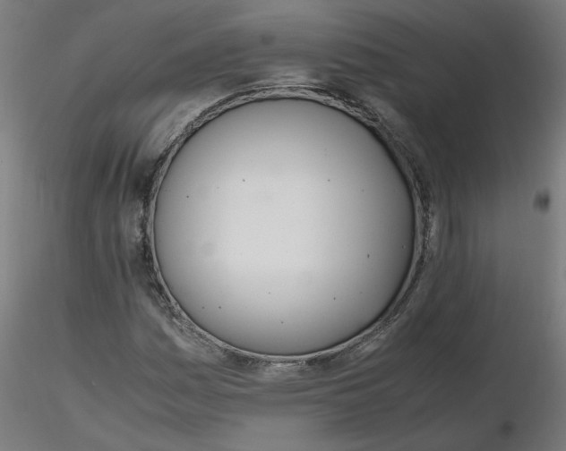X0000116461161200912231355