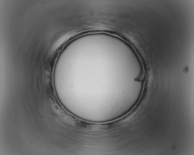 X0000116461163200912231355