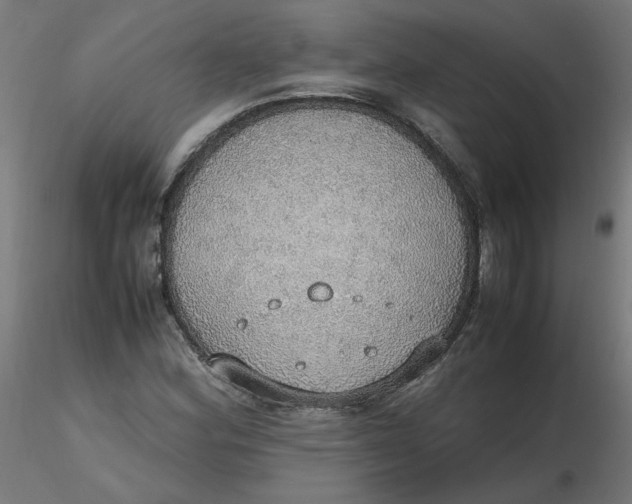 X0000116461164200912231355