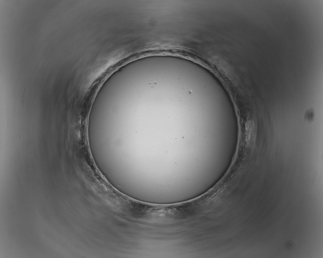 X0000116461165200912231355
