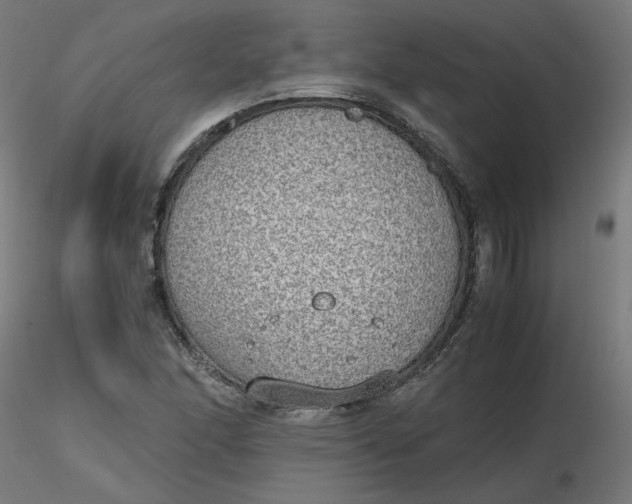 X0000116461166200912231355