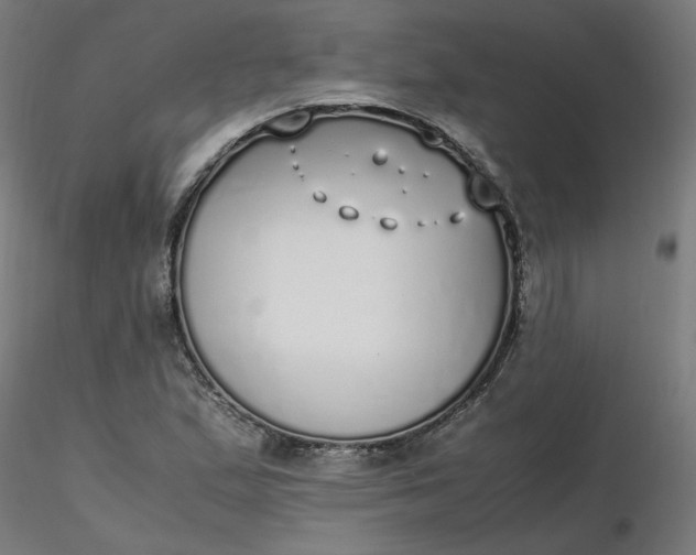 X0000116461167200912231355