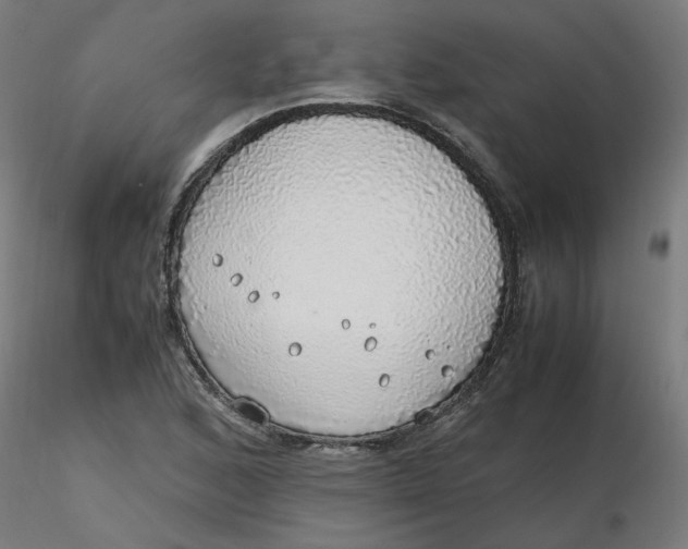 X0000116461168200912231355