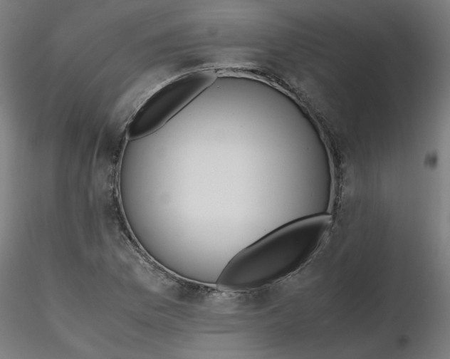 X0000116461169200912231355