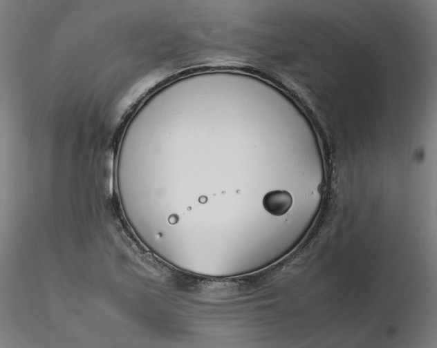 X0000116461171200912231355