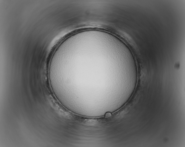 X0000116461172200912231355