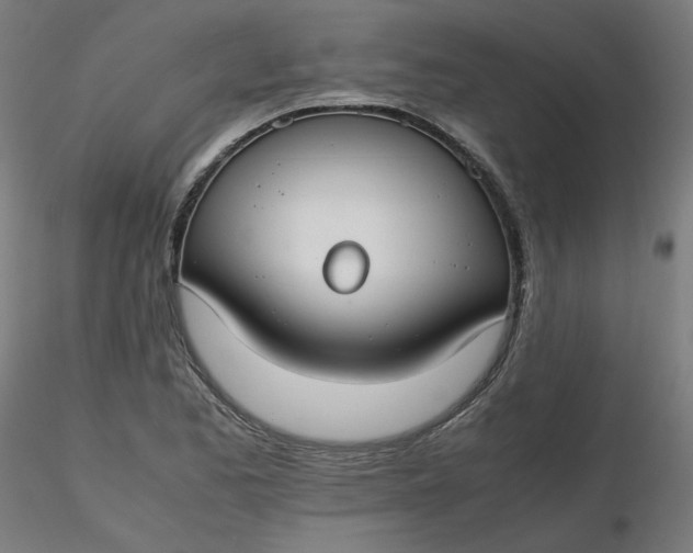 X0000116461173200912231355