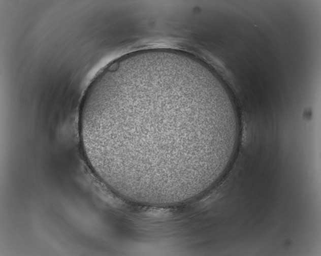 X0000116461174200912231355