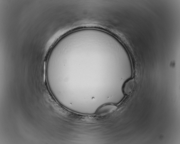 X0000116461175200912231354