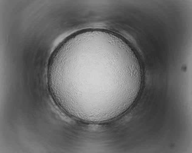 X0000116461176200912231354