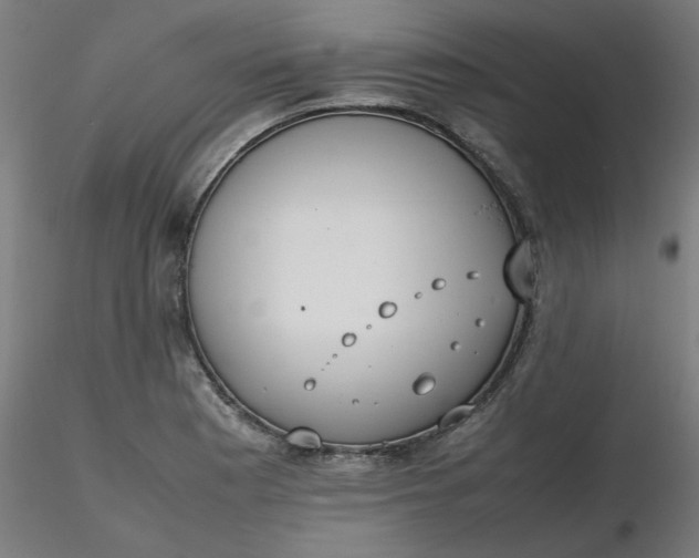 X0000116461177200912231354