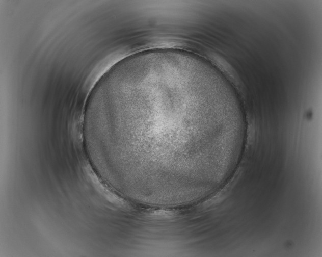 X0000116461178200912231354