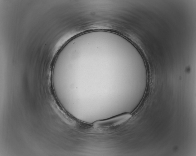 X0000116461179200912231354