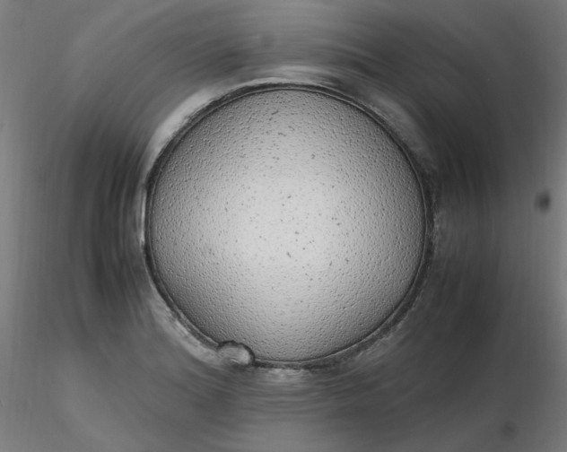 X0000116461180200912231354