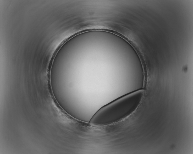 X0000116461181200912231354