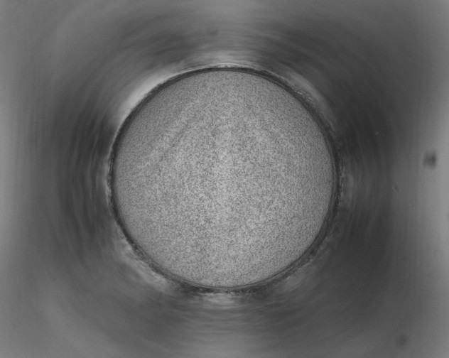 X0000116461182200912231354