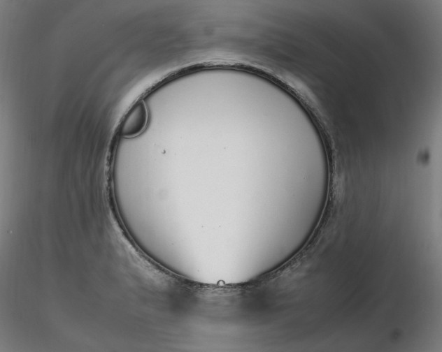 X0000116461183200912231354