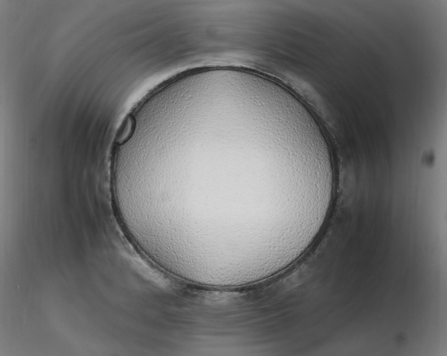X0000116461184200912231354