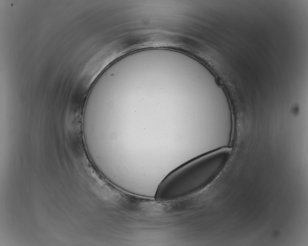X0000116461185200912231354
