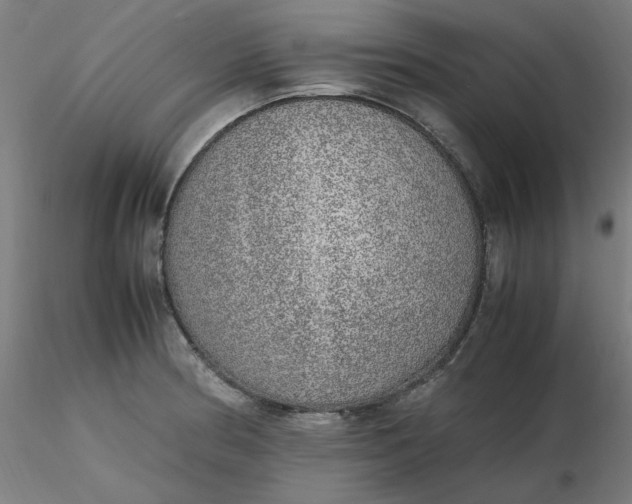 X0000116461186200912231354