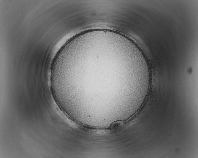 X0000116461188200912231354