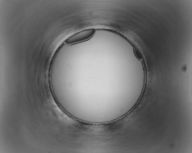 X0000116461189200912231354