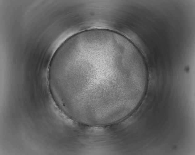 X0000116461190200912231354