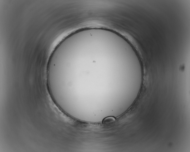 X0000116461191200912231354