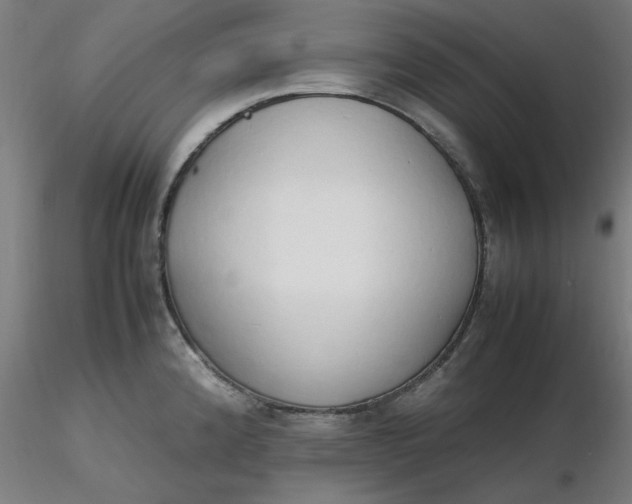 X0000116461192200912231354