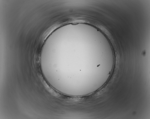 X0000116461193200912231354