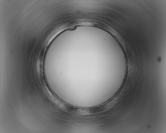 X0000116461194200912231354