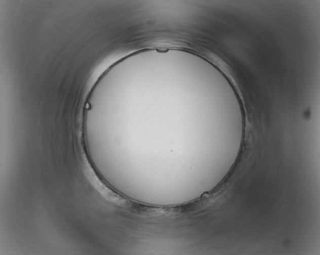 X0000116461195200912231354