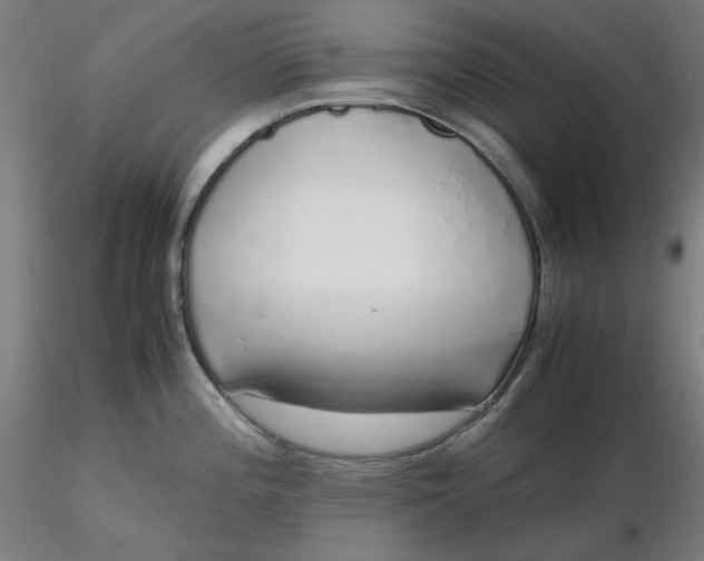 X0000116461196200912231354