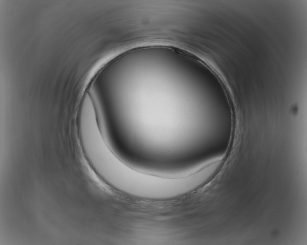 X0000116461197200912231354