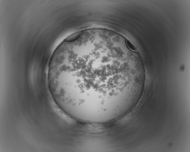 X0000116461198200912231354