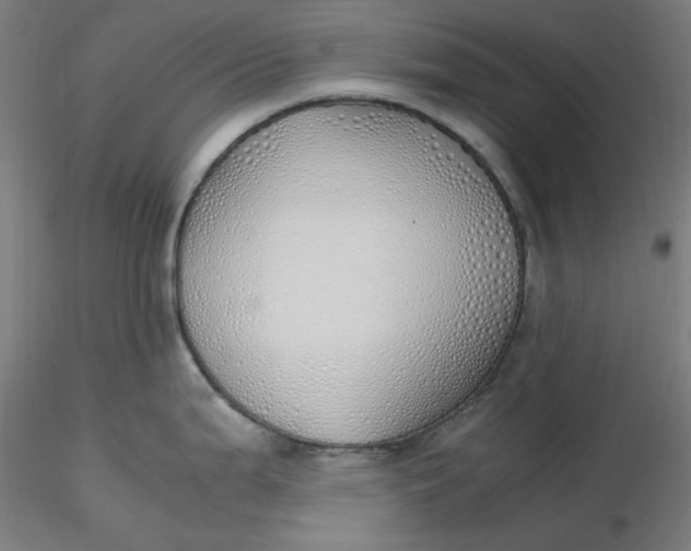 X0000116461199200912231354