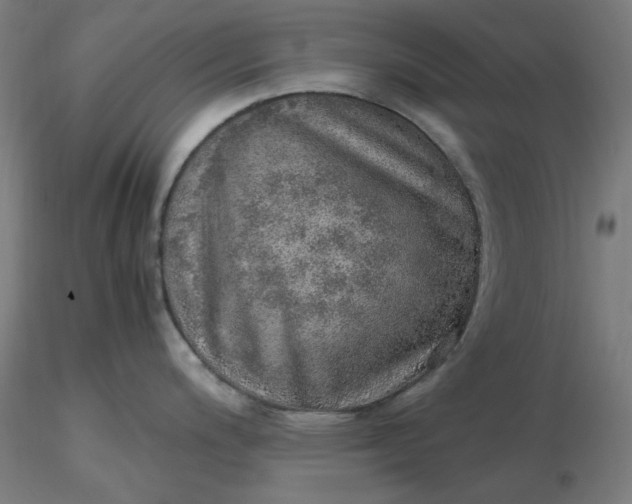 X0000116461200200912231354