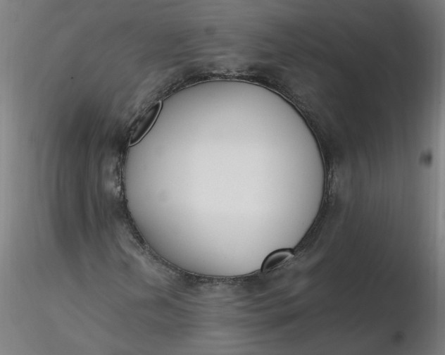 X0000116461202200912231354