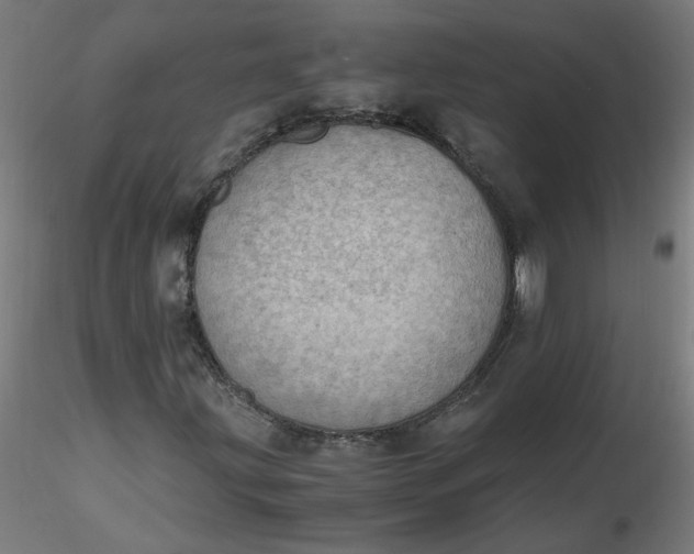 X0000116461203200912231354