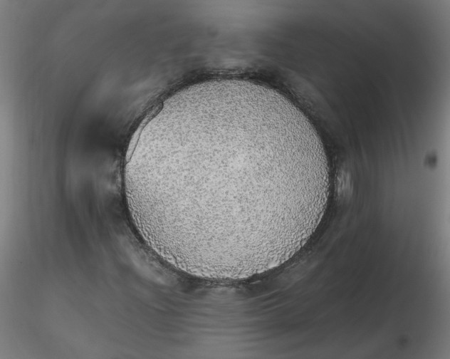 X0000116461204200912231354