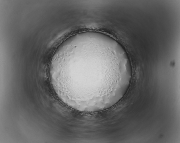 X0000116461205200912231354