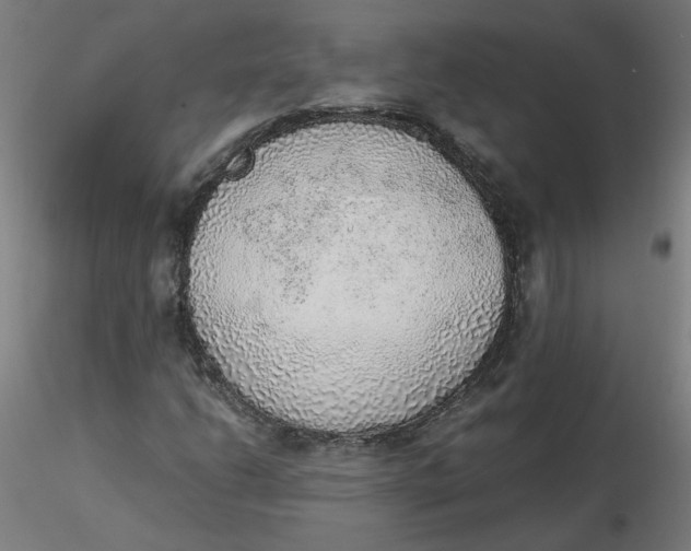 X0000116461206200912231354