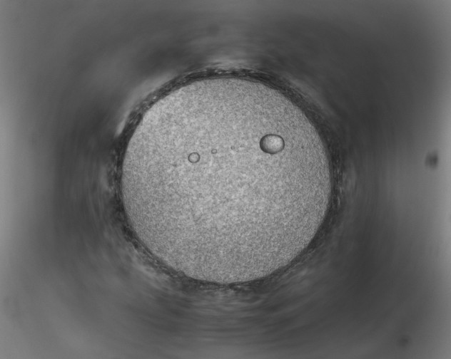 X0000116461207200912231354