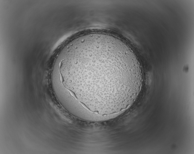 X0000116461208200912231354