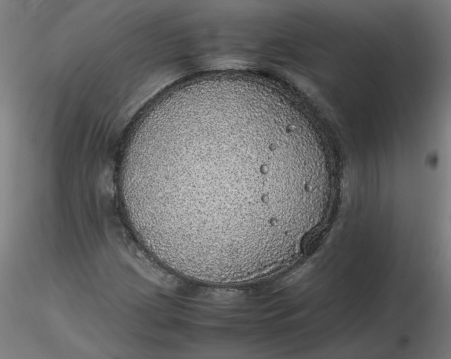 X0000116461209200912231354