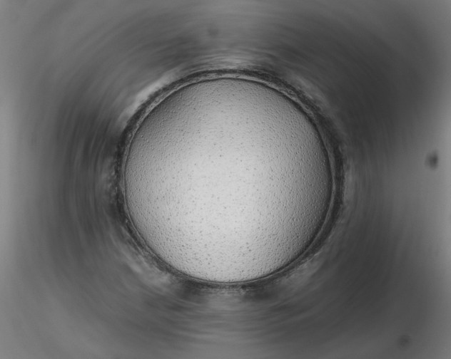 X0000116461210200912231354