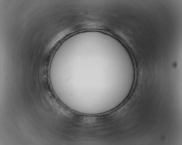 X0000116461211200912231354